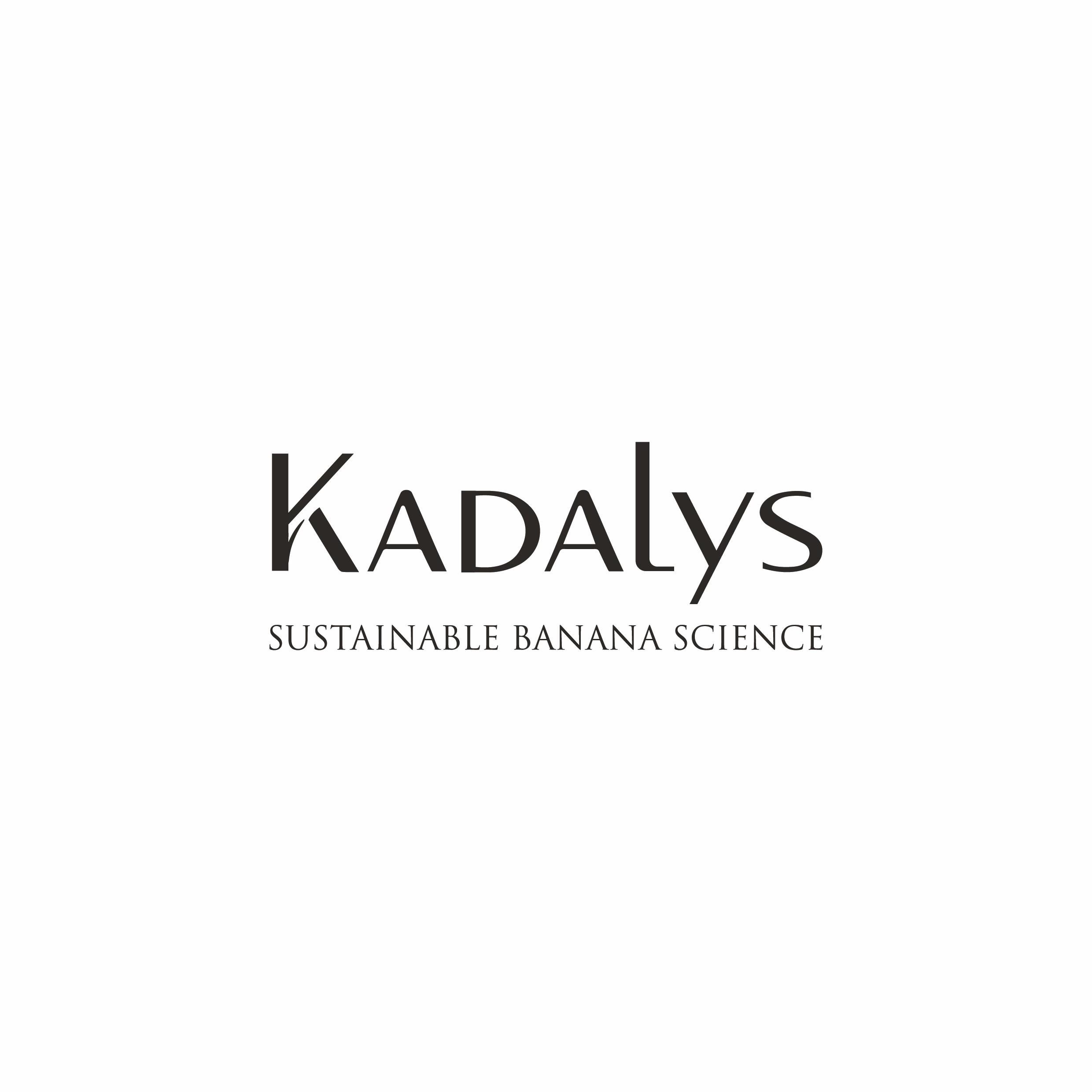 Kadalys