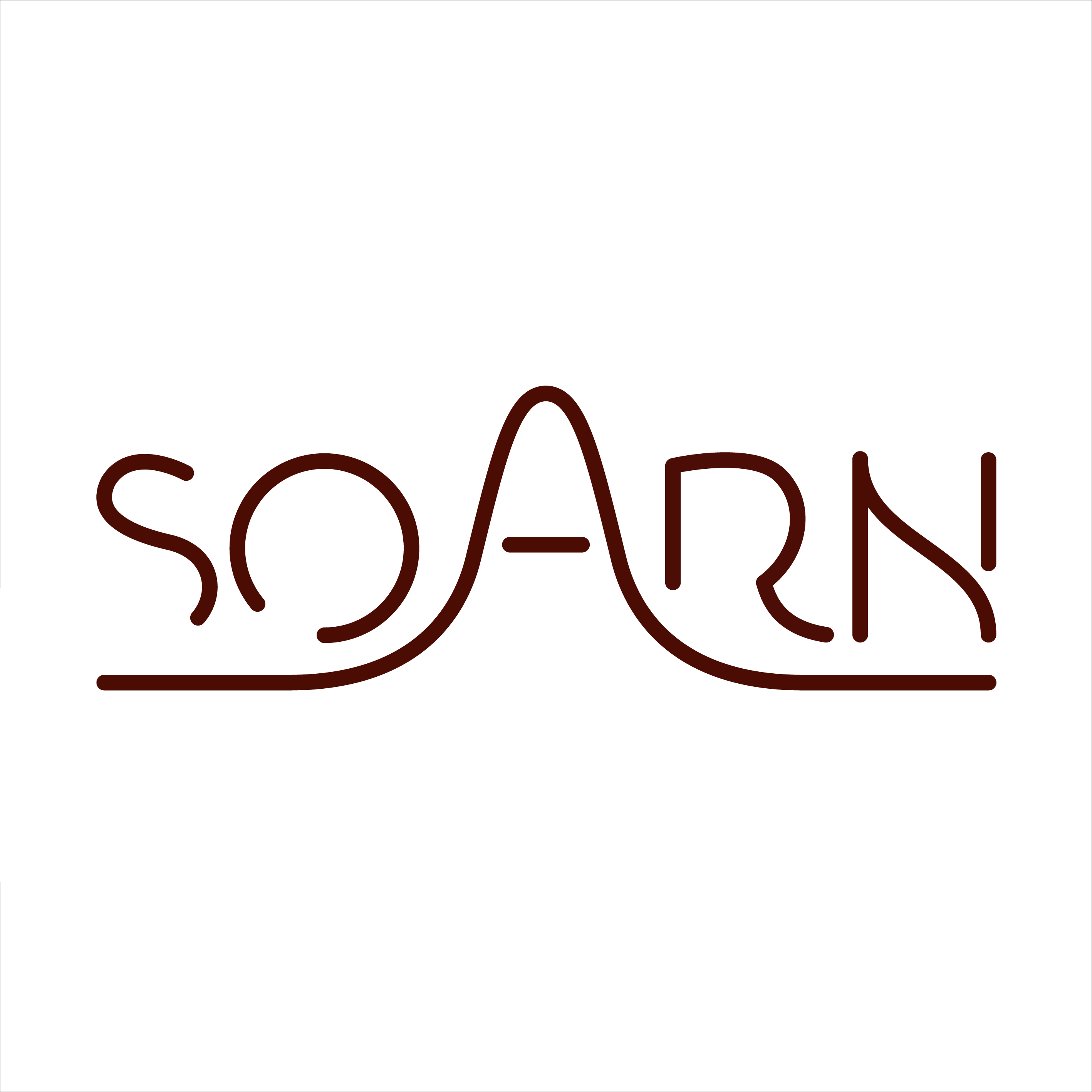 Soarn